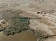 Satılır 550 sot torpaq Güzdək