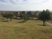 Satılır 90 sot torpaq Saray