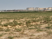 Satılır 100 sot torpaq Kürdəxanı