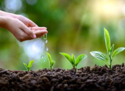 Satılır 12 sot torpaq Mərdəkan