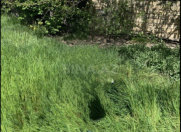 Satılır 9 sot torpaq Xaçmaz