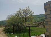 Satılır 30 sot torpaq Qusar