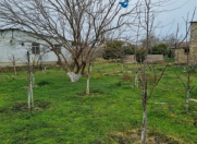 Satılır 3 otaqlı 80 m2 bağ evi Pirşağı