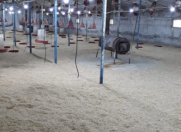 İcarəyə verilir 5 otaqlı 900 m2 obyekt Sea Breeze Resort