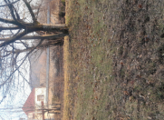 Satılır 10 sot torpaq Qəbələ