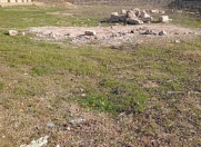 Satılır 5 sot torpaq Albalı