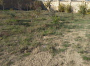 Satılır 8 sot torpaq Masazır