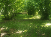 Satılır 7 sot torpaq Oğuz