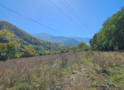 Satılır 200 sot torpaq Quba