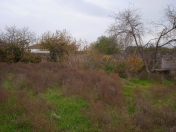 Satılır 6 sot torpaq Binəqədi