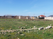 Satılır 100 sot torpaq Zirə