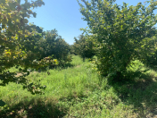 Satılır 120 sot torpaq Xaçmaz