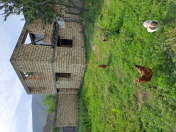 Satılır 2 otaqlı 6 m2 həyət evi Oğuz