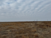 İcarəyə verilir 100000 sot torpaq Zərdab