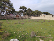 Satılır 11 sot torpaq Türkan