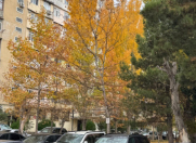 Satılır 3 otaqlı 95 m2 köhnə tikili Nəsimi m.