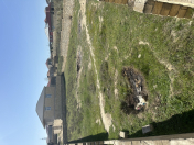 Satılır 8 sot torpaq Saray