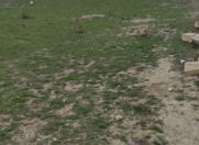 Satılır 4 sot torpaq Güzdək