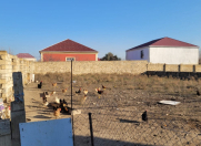 Satılır 6 sot torpaq Fatmayı