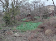 Satılır 5 sot torpaq Neapol dairəsi