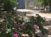 Satılır 4 otaqlı 300 m2 həyət evi 7 mkr