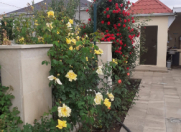 Satılır 5 otaqlı 120 m2 bağ evi Şamaxı