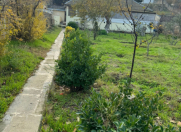 Satılır 4 otaqlı 110 m2 bağ evi Görədil