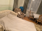 İcarəyə verilir 2 otaqlı 70 m2 yeni tikili Nəriman Nərimanov m.