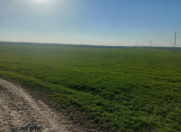 Satılır 173 sot torpaq Ağsu