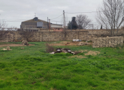 Satılır 8 sot torpaq Bilgəh