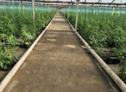 Satılır 10 otaqlı 3000 m2 obyekt Salyan