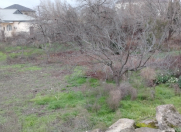 Satılır 4 sot torpaq Asan Xidmət-6