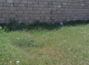 Satılır 8 sot torpaq Fatmayı