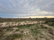 Satılır 12 sot torpaq Sea Breeze Resort