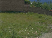 Satılır 12 sot torpaq Şamaxı