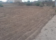 Satılır 15 sot torpaq Türkan