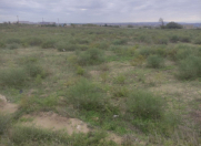 Satılır 23 sot torpaq Nardaran