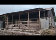 Satılır 12 sot torpaq Oğuz