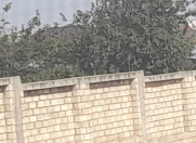 Satılır 8 otaqlı 128 m2 həyət evi İsmayıllı