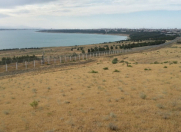 Satılır 973 sot torpaq Ceyranbatan