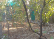 Satılır 40 sot torpaq Bakı