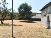 Satılır 3.3 sot torpaq Qəbələ