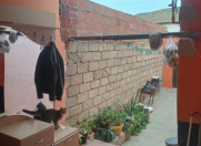 Satılır 2 otaqlı 90 m2 həyət evi Sumqayıt