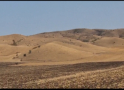 Satılır 50000 sot torpaq Şəki