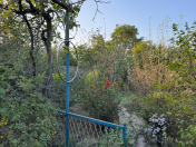 Satılır 4 sot torpaq Y.Ramana