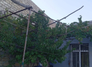 İcarəyə verilir 2 otaqlı 40 m2 həyət evi Sirk