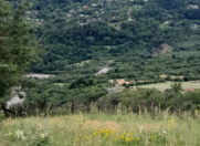 Satılır 10 sot torpaq Quba