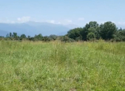 Satılır 100 sot torpaq Zaqatala