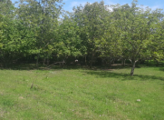 Satılır 20 sot torpaq Qusar