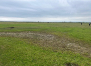 Satılır 20 sot torpaq Xaçmaz